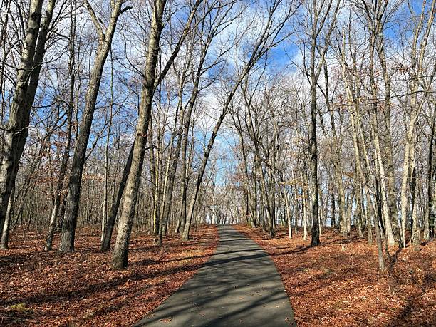 istock Chicopee Memorial State Park, Massachusetts 2248287717