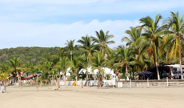 a scenic beach view with palm trees in Mazatlan, Mexico