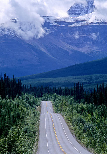istock Icefields Parkway in Jasper National Park, Alberta, Canada 2248290305