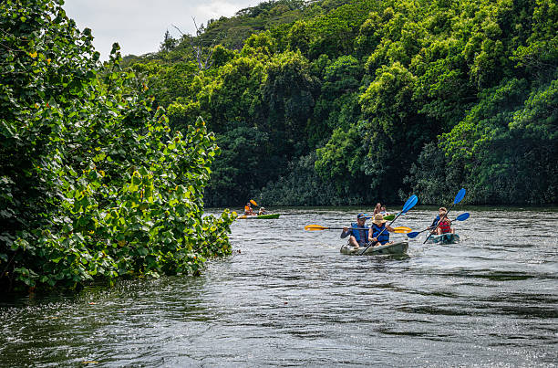Kapa'a, HI U.S.A. - July 17, 2025: Kayakers paddle around a bend on the lush Wailua River, the longest navigable river in Hawaii.