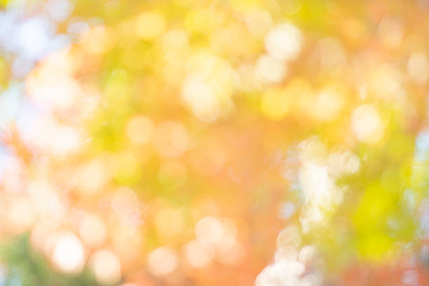 Bokeh background of sky and autumn colors.
