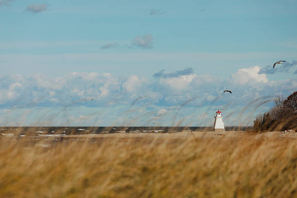 A scenic shot of a light range on a beach along Lake Huron. Image shot through beach grasses in early November. Shot with a Canon 5D Mark IV.