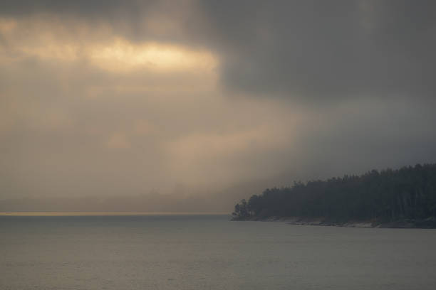 Moody landscape of a fog-covered coastline with soft golden light breaking through thick clouds. The dark forested shore contrasts with the misty sea and dramatic sky. Atmospheric, minimalistic, peaceful scene.