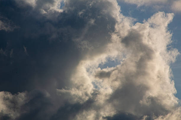 Creative Amami Oshima Japanese Nature Summer Clouds