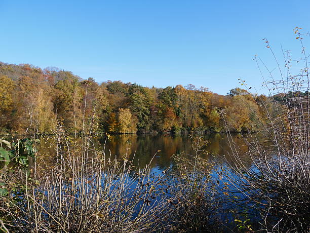 istock View of the Herzogenrath Pond in Indian Summer 2248302994
