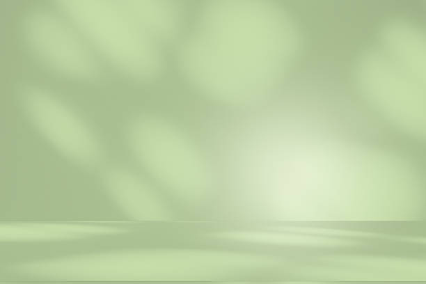 istock Studio style background wall decoration presentation uses white and beige tones. with shadows cast from a nearby window, concept creating a decorative 2248307845