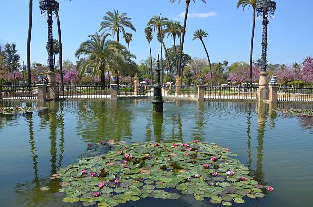 istock Seville, Marie Luisa Park 2248311587