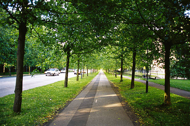 istock cycle and walking track in city 2248311879