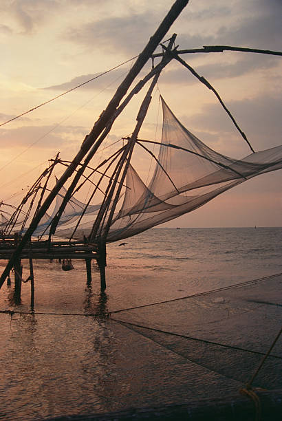 catch of fish on fishing boat at palolem beach in goa at sunset, focused on foreground