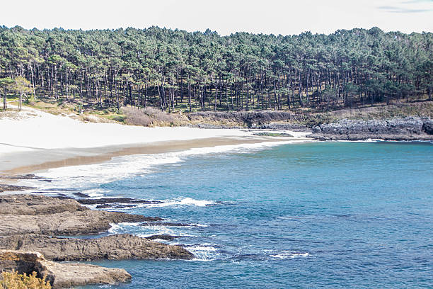 Doniños beautiful beach high angle view. Atlantic ocean,  Ferrol. Galicia. Spain. Gabeiras islands in the background.