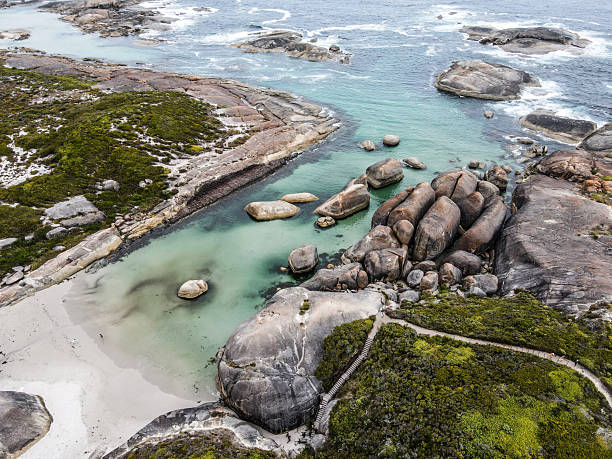 Giant granite formations resembling a herd of elephants in a beautiful blue ocean.
