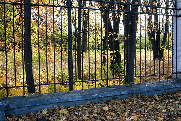 istock Autumn colors frame a tranquil park scene behind a wrought iron fence 2248314980