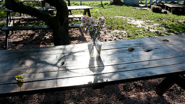 A lovely table covered in sunlight, adorned with a vase of fresh flowers.