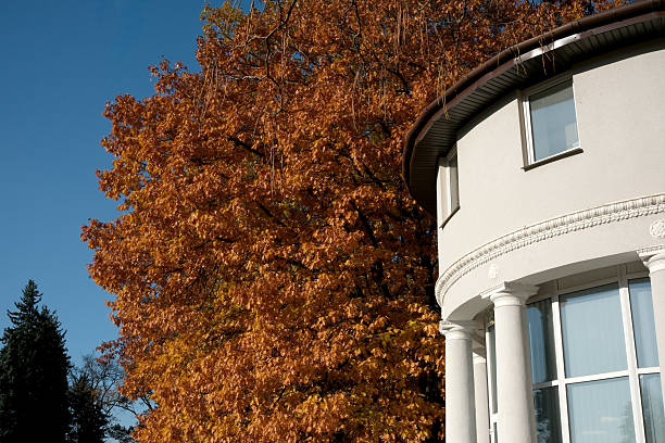Bright orange leaves fill the scene beside a sleek white structure under blue sky.