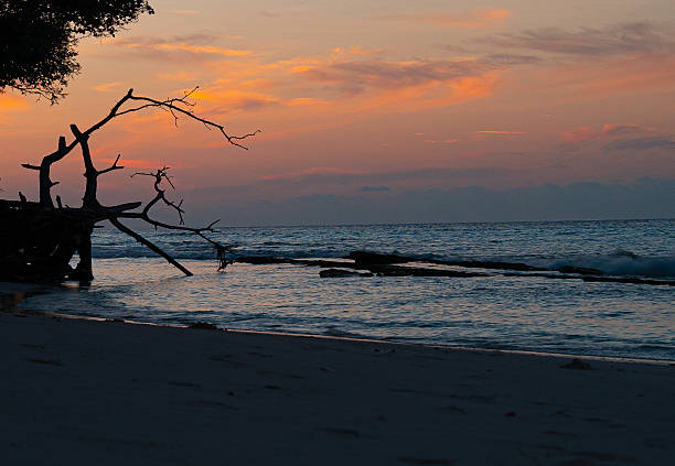 istock Sunrise  over Indian ocean beach with big tree trunk in island Thoddoo 2248315559