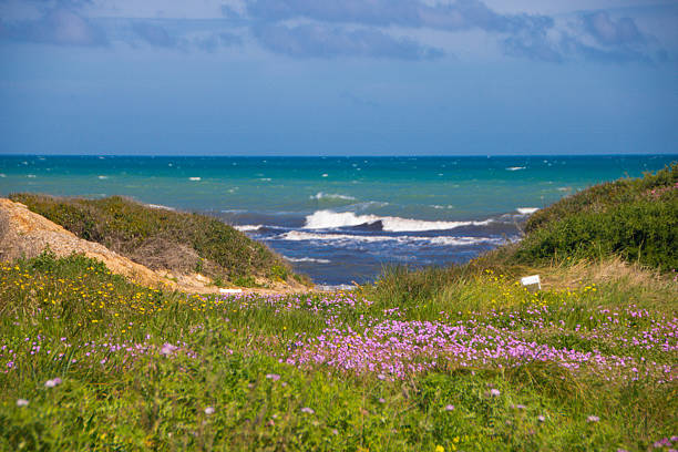 istock Torre Guaceto protected marine reserve 2248316443