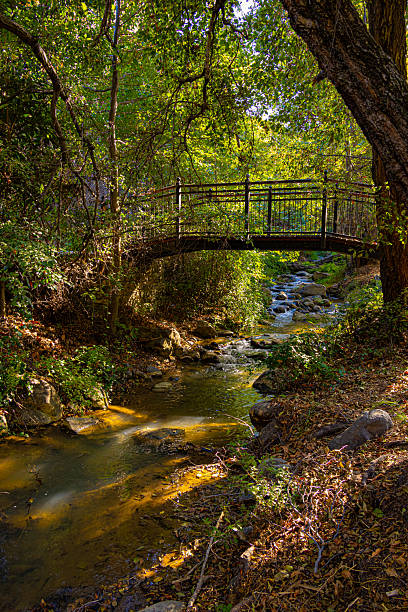 istock Bridge under small Troodos mountain river among trees in village Kakopetria 2248317450