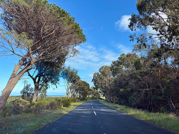 Serra da Arrábida in Setúbal, Portugal