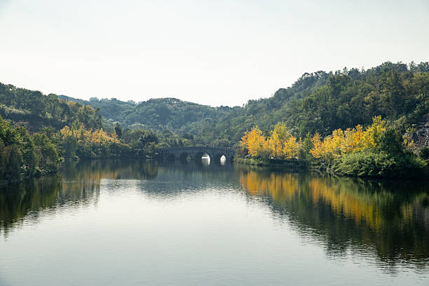 istock yellow forest and lake in autumn 2248319090