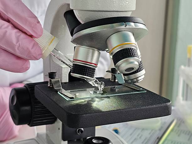istock Microscope examination of a liquid sample in a laboratory 2248320666