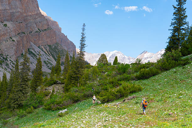 Bishkek, Kyrgyzstan - May 13, 2024: Two hikers traversing a sunny, lush green mountain slope, with sheer rock cliffs and a snow-capped mountain visible in the distance. People present are Caucasian, adult