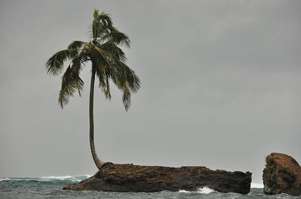 Tropical wild beach of Sainte Marie island, Madagascar