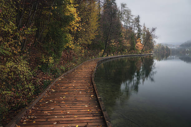 istock The Wooden Path Along Bled’s Quiet Shore 2248322900
