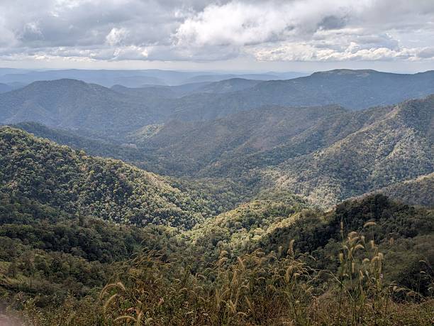 istock Valley Depths and Rolling Forest Hills 2248323441