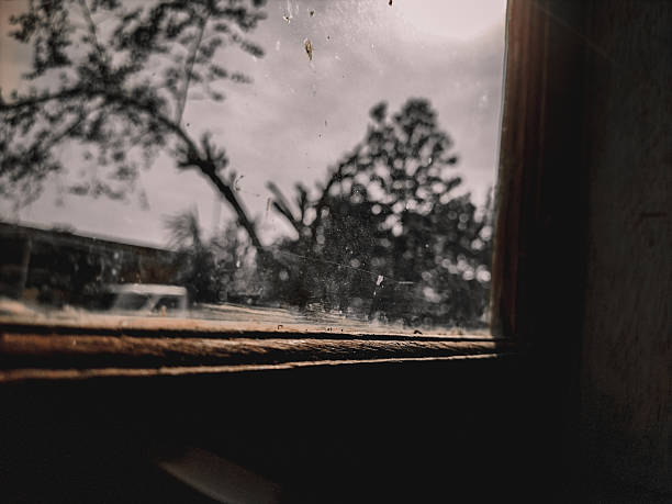 istock A moody view through a dusty window with wooden frames, revealing blurred trees and soft sunlight under a cloudy sky, blending nature with rustic indoor textures. 2248323909