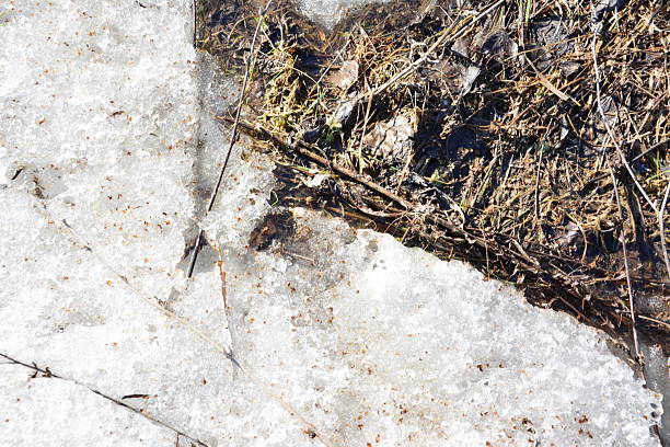 Melting Ice and Dry Grass in Early Spring top view