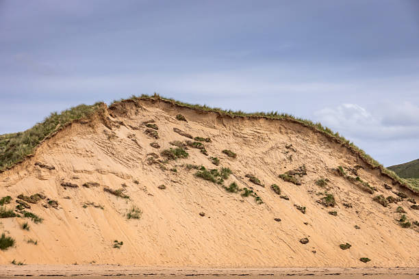 sand dunes on Five Fingers Beach, known as the tallest grass dunes in Europe, on the Inishowen peninsula; Donegal, Ireland