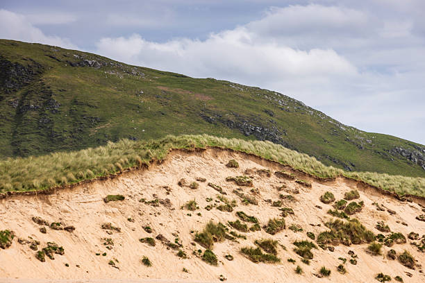 Path to beach through sand dunes and grass on coast in winter at Horsey Gap, Norfolk, UK