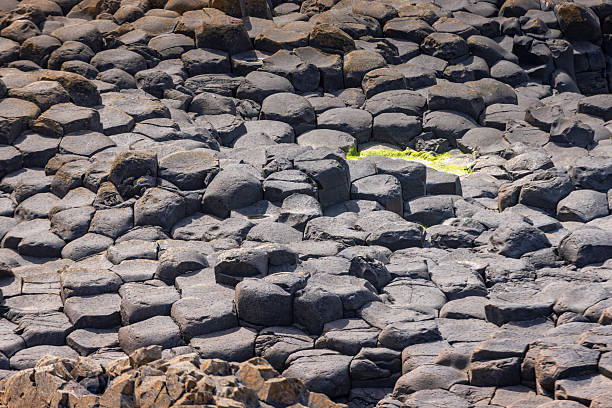Giant's Causeway on the cliffs along the Northern Ireland coast; Bushmills, United Kingdom