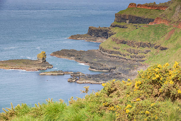 Giant's Causeway on the cliffs along the Northern Ireland coast; Bushmills, United Kingdom