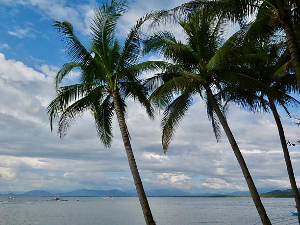 Soft clouds drift over distant mountains and sea.