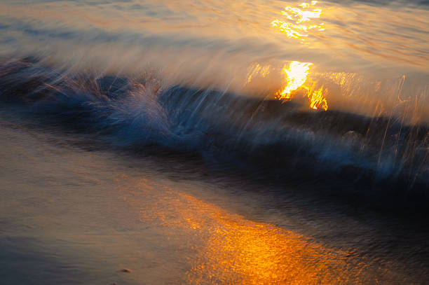people walking in the beach while sun is setting.