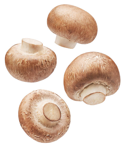 istock Different angle of individual brown button mushrooms isolated 2248334862