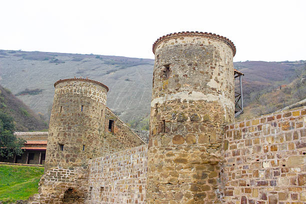 Historic circular stone towers rise against the barren hills of the David Gareji desert-steppe region in Georgia. The weathered masonry, clay roof tiles, and rugged landscape highlight the monastery’s centuries-old architectural character. Visitors in the foreground underscore the scale and the enduring cultural significance of this remote monastic site.