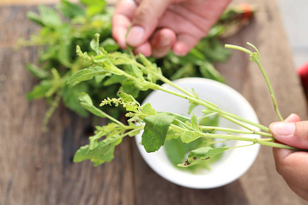 istock Fresh holy basil leaves on rustic wood 2248343708