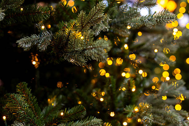 istock Evergreen Branches with Warm Christmas Lights 2248344403