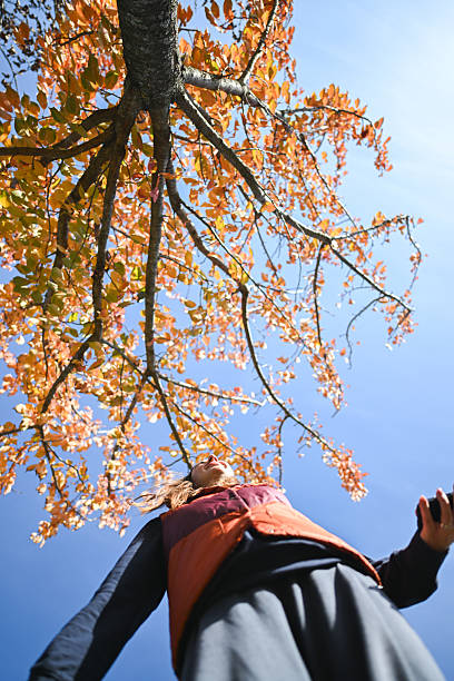 istock Woman enjoying autumn leaves under blue sky 2248345525