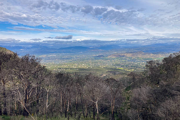 istock Hiking on trail along abandoned open-pit mine and burnt trees 2248347138
