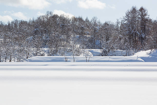 istock A winter morning landscape 2248348951