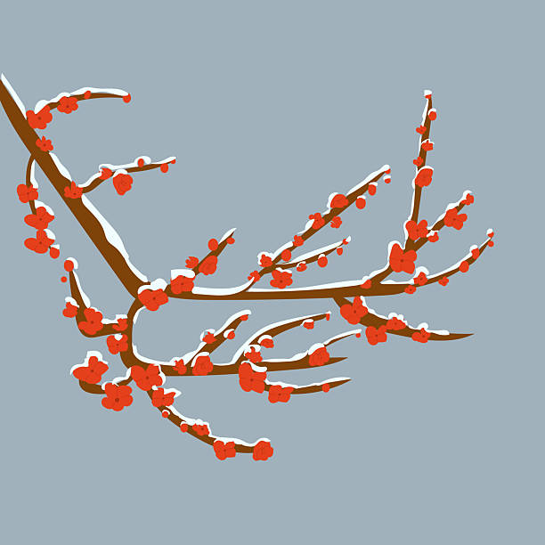 istock Flat vector ume blossom plum under snow, red flowers, winter cold, Plum blossom branch winter set 2248349175
