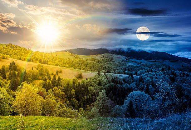 istock forest in mountain rural area. day and night time change concept 2248352278