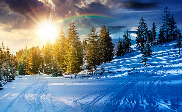 istock winter countryside with spruce forest 2248352284