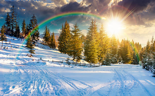istock winter countryside with spruce forest at sunset 2248352325