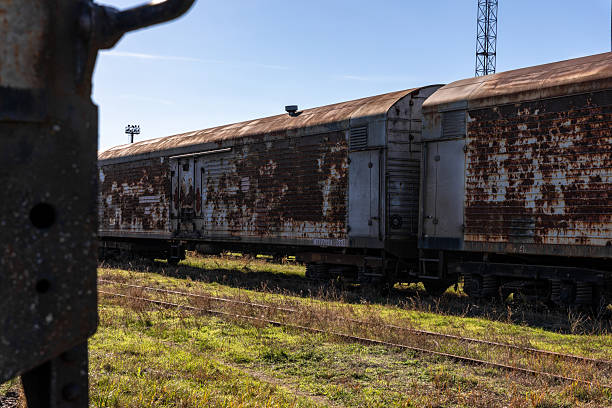 Old, rusted freight train cars sit idle on overgrown tracks under a clear blue sky, evoking themes of abandonment and industrial decay.