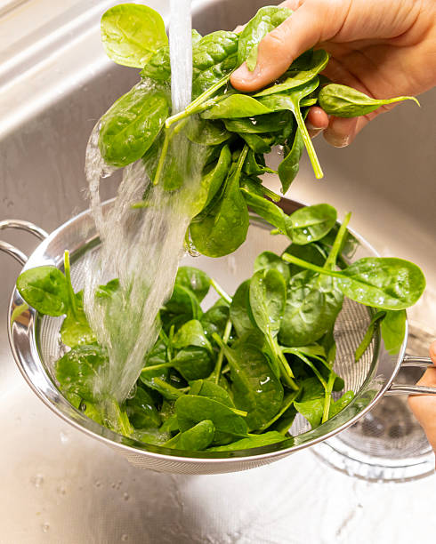 istock washing fresh spinach in a drainer at kitchen sink 2248353753