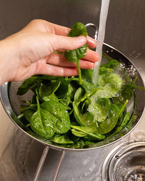 istock washing fresh spinach in a drainer at kitchen sink 2248353760